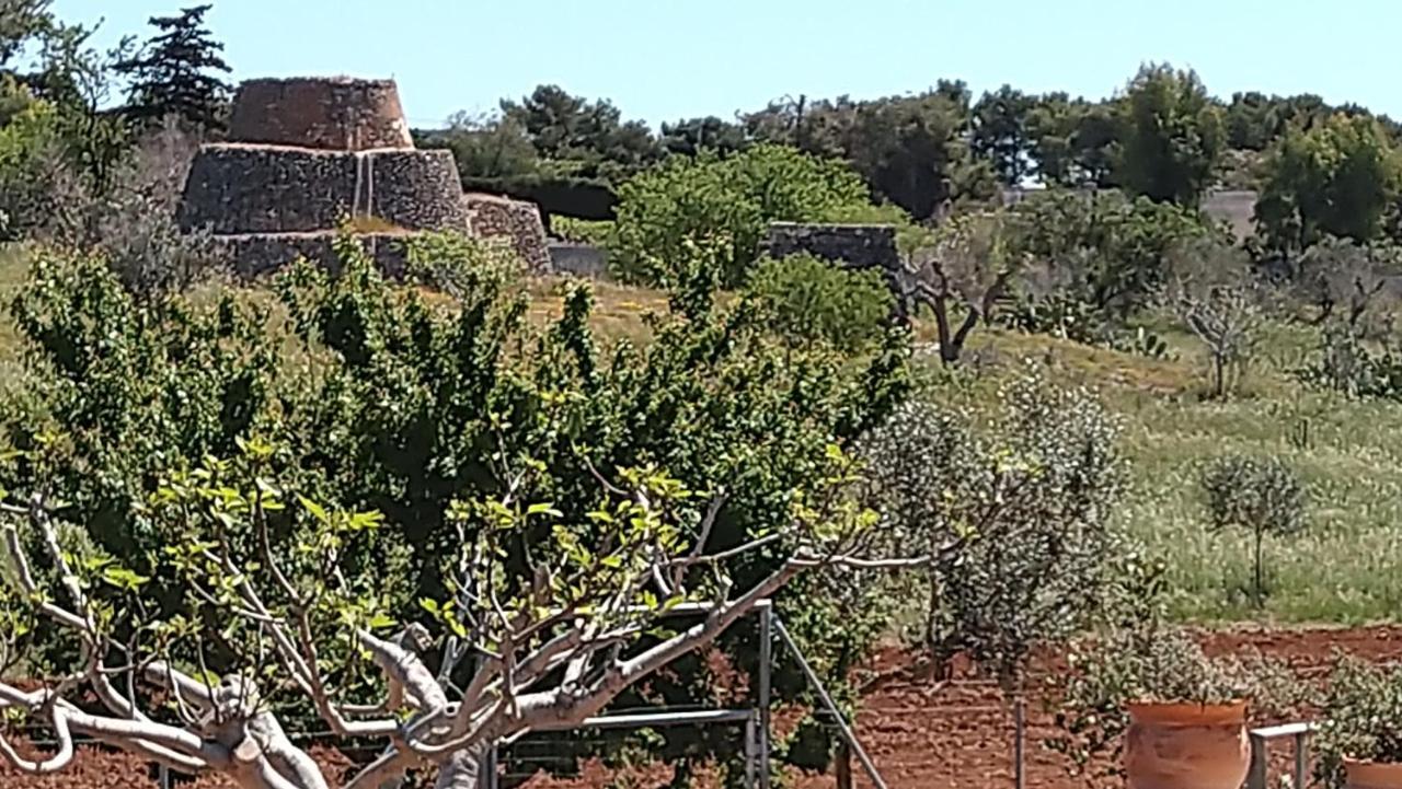 Villa Aurora Santa Maria al Bagno Dış mekan fotoğraf